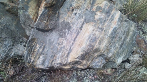 Гигантские зелёные валуны для ландшафтного дизайна весом более 5 тонн купить в Берёзовском